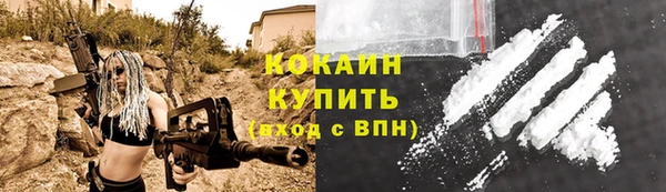 твердый Абаза