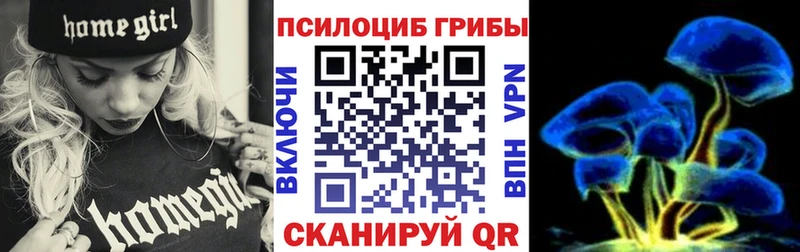 Псилоцибиновые грибы MAGIC MUSHROOMS Терек