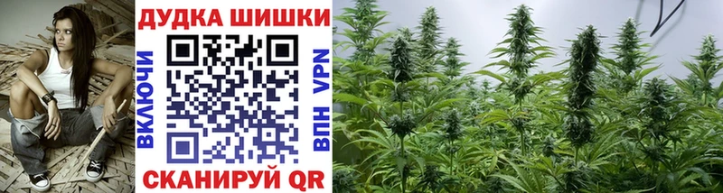 Канабис конопля  Терек 